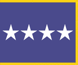 [Air Force General flag]